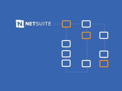 NetSuite ERP Architecture Strategy – Best of Breed vs Customized Single Platform